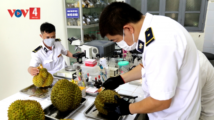 LẠNG SƠN CHẢO DƯỞNG NGẢI TẢI ẾT SLE KHAI MÁC SẦU RIÊNG PÂY NẶM MƯỜNG NOỎC
