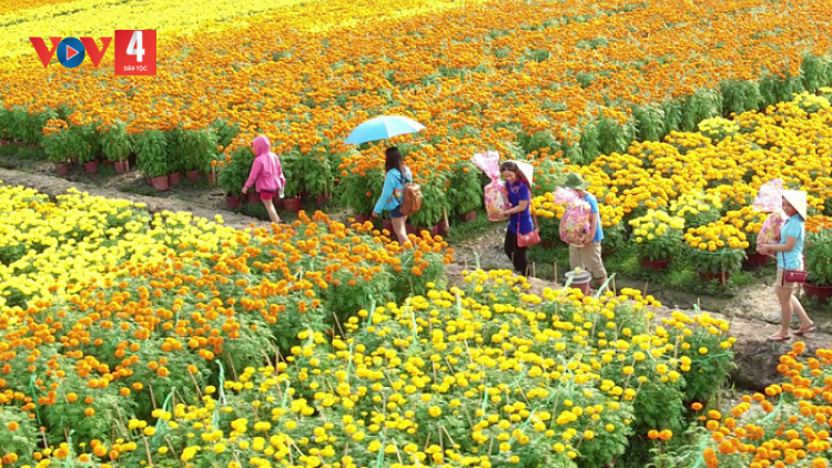 MÙA XUÂN LÀNG LÚA LÀNG HOA