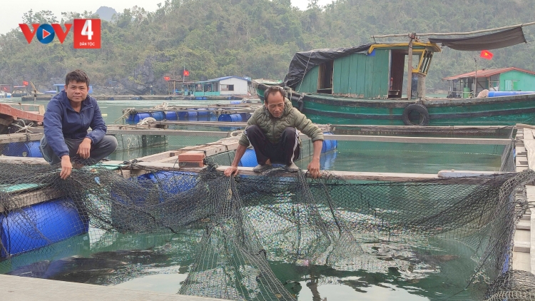QUẢNG NINH TẢY NẢI KHÁM QUÁ BẠI DƯỞNG KHỎ CHANG VIỂC AU CHỈA CHỈN HẨƯ LIỆNG PJA CỦNG DÚ TỀNH PÉ HẢI