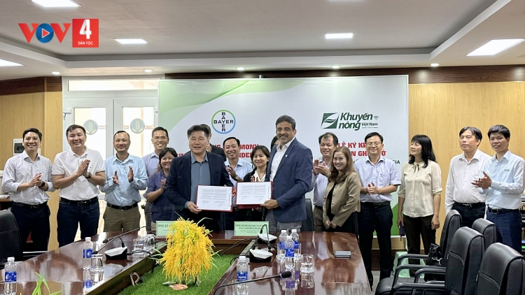 BH’RỢ XA NAY 1 ƯC HA MUY CHO HA ROO YÊM LÂNG LIÊM CRÊÊ TR’MÔNG VÊY P’XOỌNG MA NƯIH TING ZOOI