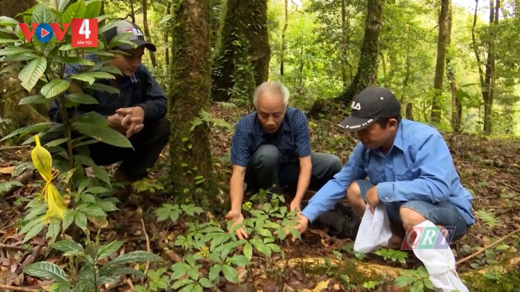 QUẢNG NAM PA DƯR TƠƠM Z’NƯƠU COH CRÂNG, ZOOI ĐHA NUÔR Z’LÂH ĐHA RƯT