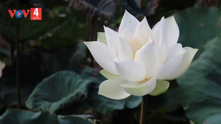 T'RUIH PA XƯL P'RA CƠ TU THỨ 7 T'NGAY 24/5/2025