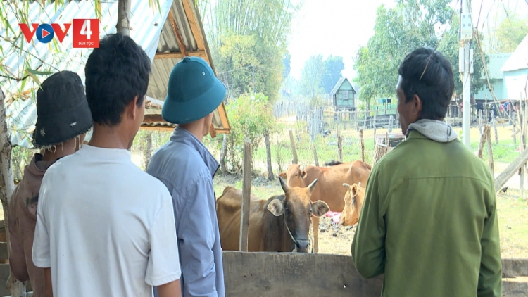 BẠI MÒN ĐÂY TỨ VIỂC LIỆNG MÒ NÈM TÀNG DƯỞNG KỈ LƯỜN PỈ NOỌNG XÀY LIỆNG DÚ SLẢNH GIA LAI