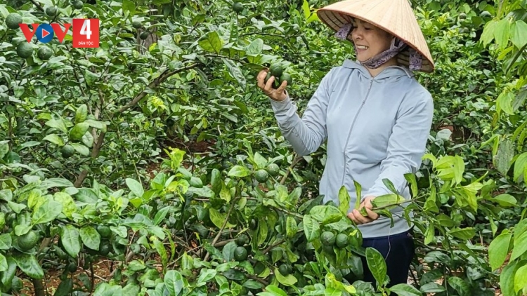 PJOM ĐẢY DIM CHÈN TỨ NGÂN HÀNG CHÍNH SÁCH XẠ HỘI, LAI PỈ NOỌNG DÂN TỘC NỌI CẦN ĐẠ TẢ ĐẢY KHỎ