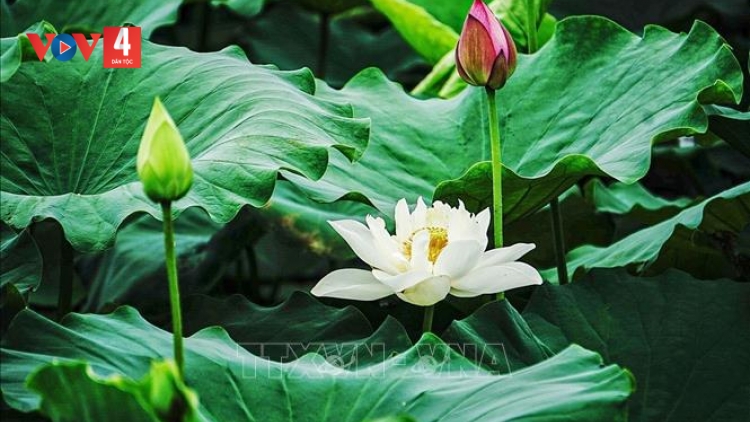 T'RUIH PA XUL P'RÁ CƠ TU CHỦ NHẬT T'NGAY 25-5