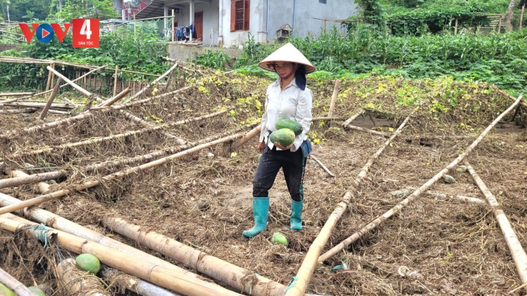 BẮC KẠN: PỈ NOỌNG TÁNG CHƯỚNG CHỎI TẺO NÀ RẨY LĂNG XÁ PHÂN CẢI NẶM NOÒNG