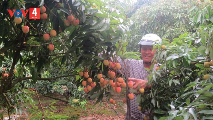 THANH HÀ KHẢU SLÌ MÁC PÁI SLÚC XÁU NGẦƯ SLƯỞNG XẸ KHAI PÂY ĐẢY NẶM MƯỜNG NOỎC ĐẢY LAI