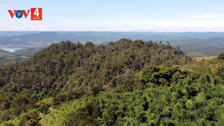 CHR’NĂP CRÂNG ĐHỊ ĐẮK NÔNG DAL BHLẦNG LÂH 4,9 TỶ ĐỒNG/HA