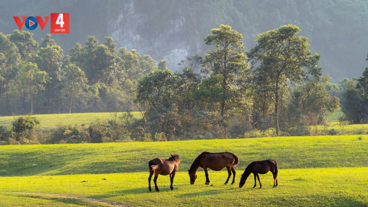 CHƯƠNG TRÌNH KHAY HENG TÀY - NÙNG (Thứ 7, Vằn xo 5 bươn 7 pi 2024)