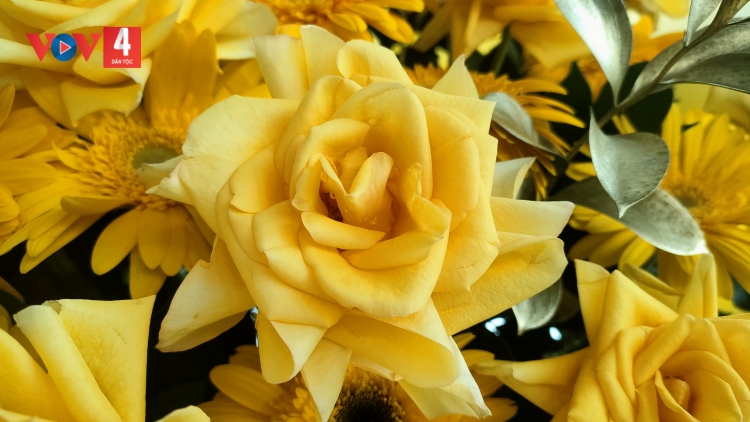 Danak dak sap Cam 26_07_2025