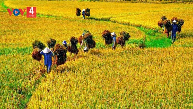 HỒN QUÊ; NƯỚC MẮT MẸ HIỀN