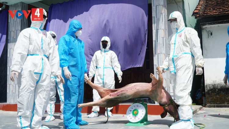 ĐƠƠH HÂN ZÂL CHA GROONG PR’LUH PA ZRUÔH A ỌC CHÂU PHI TRƠƠI BOỌ BÂC OOY