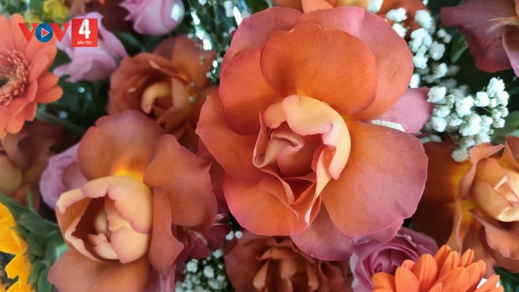 Danak dak sap Cam 02_08_2025