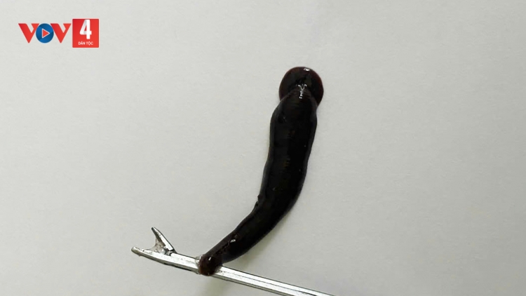 DZOOL TA COOT PAY ĐỈA COH CR’LOỌNG MOH MANƯIH OOY QUẢNG TRỊ