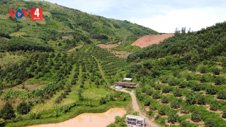 PA DƯR DU LỊCH DA DING CA COONG KHÁNH HÒA 