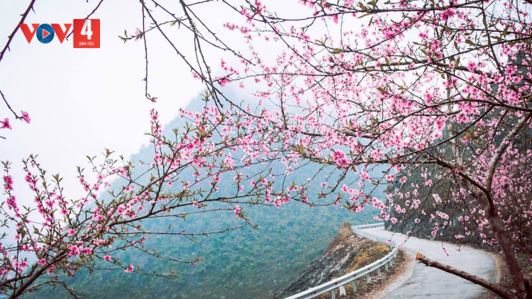 HÂN NOO C'LẬT CÁCH MẠNG - ĐỢ PR'HAT OOY K'TIÊC K'RUUNG