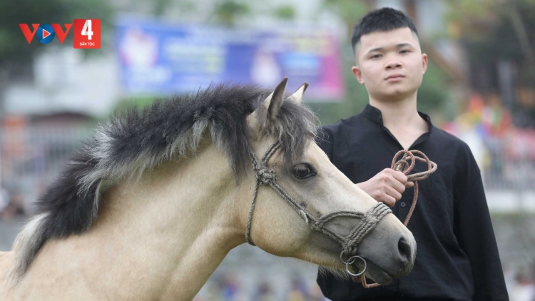 GỌI ANH (Hát lượn dân tộc Tày)