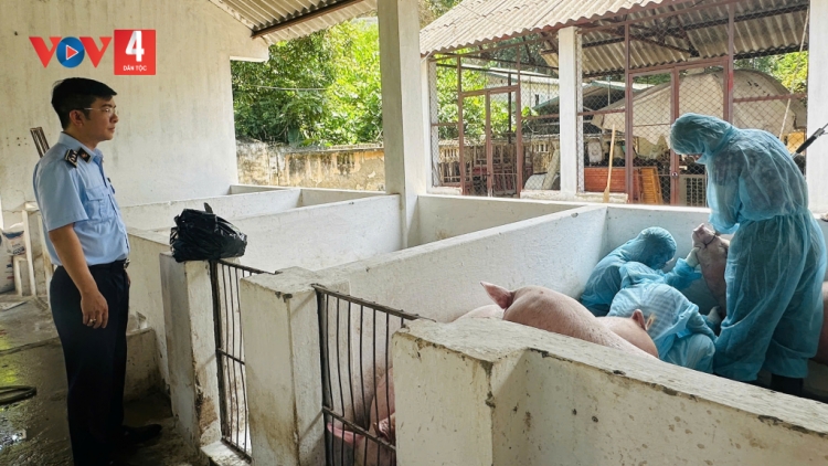  PỈNH LẢ MU PÂY MỐC CHÂU PHI PẢI PÉT LAI DÚ SLẢNH CAO BẰNG