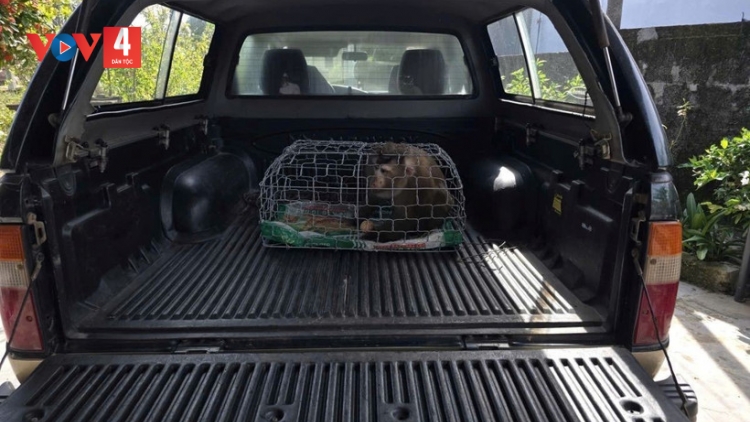 ĐHANUÔR QUẢNG TRỊ ĐOỌNG MƯY P’NONG BHỌT P’RAI A’ỌC