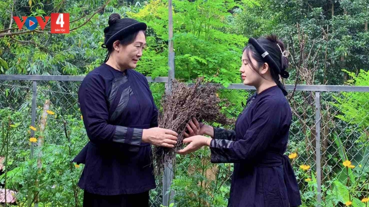 CHƯƠNG TRÌNH KHAY HENG TÀY - NÙNG (Thứ Sáu, vằn 26/9/2025)