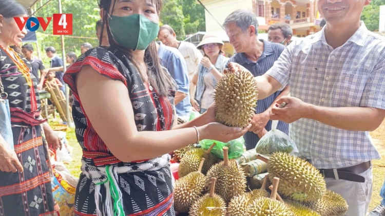 ĐHANUÔR DA DING ĐÀ NẴNG PA DƯR CA VAN ĐƯƠI CHOOM BHRỢ CHA