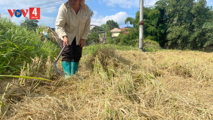 THÁI NGUYÊN: ĐĂM CHAY TÒ TẺO LĂNG PÀY PHÂN NOÒNG CẢI