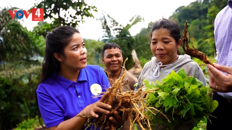 VIẾT TIẾP GIẤC MƠ QUÊ NÚI