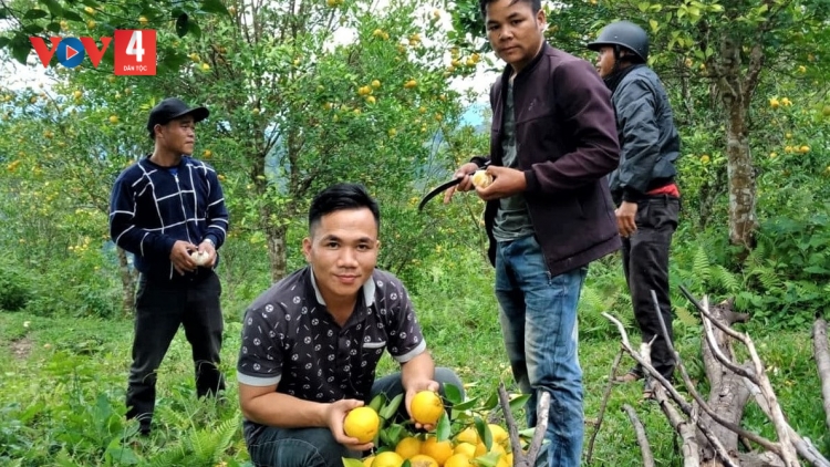 PUÔN CHA NĂC ĐHA ĐHÂM C’MỌOR ĐÀ NẴNG BƠƠN HƠNH DEH CH’NER “15 C’XÊÊ 10”