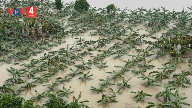 BOO NGÂN XANG ĐHÍ AMUÔT SỐ 11 BHRỢ NONG ĐHỘ COH BÂC VÊÊL ĐONG