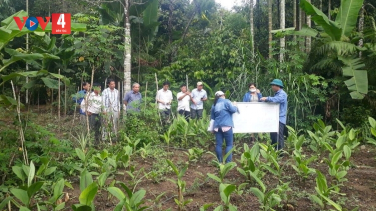 XĂL TƠƠM CHR’NOH, BH’NĂN BĂN ÂNG ĐƠƠNG BẤC RAU TR’XĂL LIÊM CHOOM