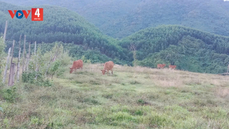 PA DƯR PR’ĂT TR’MUNG TƠỢ BH’RỢ B’BĂN, CH’CHOH