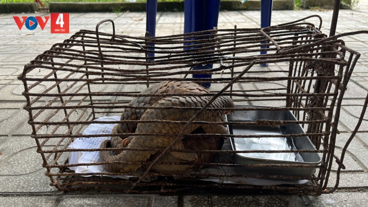 ĐHA NUÔR QUẢNG NGÃI PA ĐƠP ĐOỌNG 2 P’NONG XONG CROH