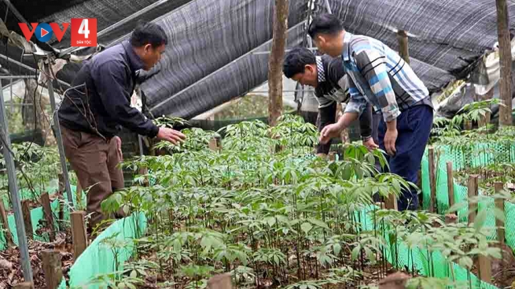 PỈ NOỌNG DÚ KHUN HÁ HẾT KIN CHÀU MÌ PJOM CHAY CO DA CHANG ĐÔNG