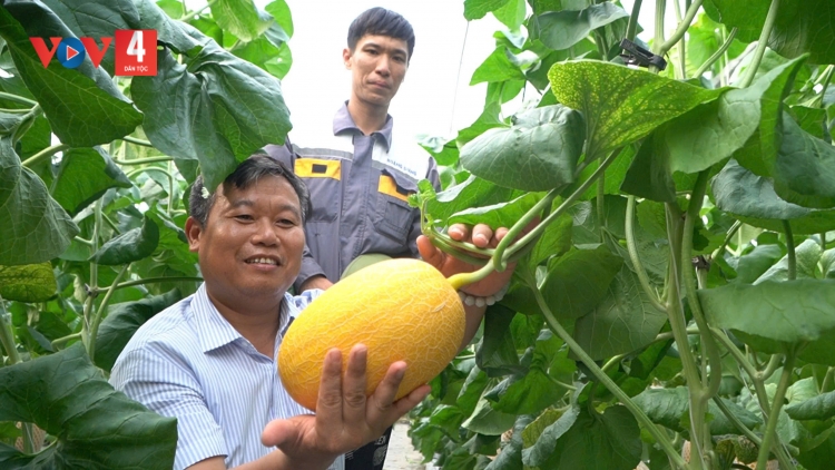 HẢI PHÒNG: BẠI THÌNH PHJẮC MÁC MẢU DÊN PANG HẨƯ PỈ NOỌNG KHAI TẢY CHÈN