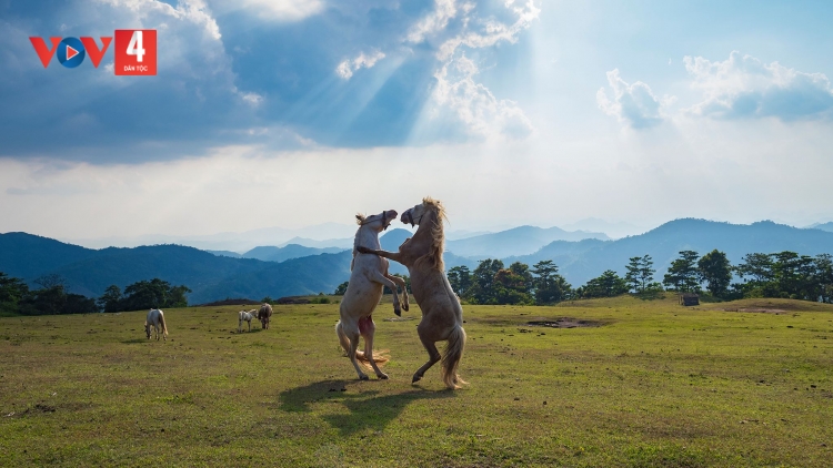 PỈ NOỌNG TỈNH ĐÀI XÁU CHƯƠNG TRÌNH (Chủ nhật, vằn 30 bươn 11 pi 2025)