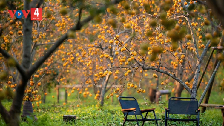 CHƯƠNG TRÌNH KHAY HENG TÀY-NÙNG  (Thứ Sáu, Vằn 28/11/2025)