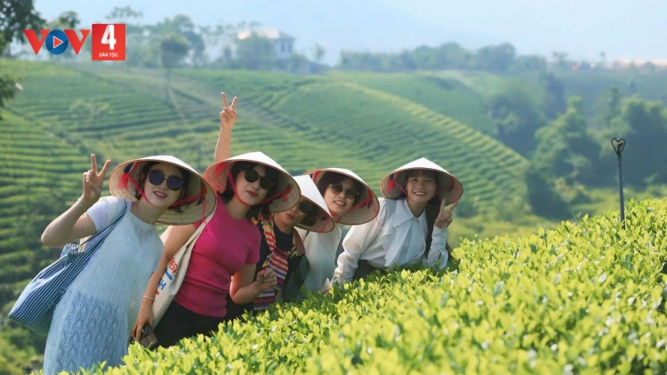 THÁI NGUYÊN TỐI MẤƯ SLE CO CHÈ PỀN TÀNG HẾT KIN ĐÂY