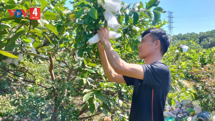 PỈ NOỌNG HẾT RẨY NÀ DÚ THÁI NGUYÊN TỐI BẠI CO NẲM, TUA CÚA LIỆNG HẾT KIN VẰN HẲM ĐÂY