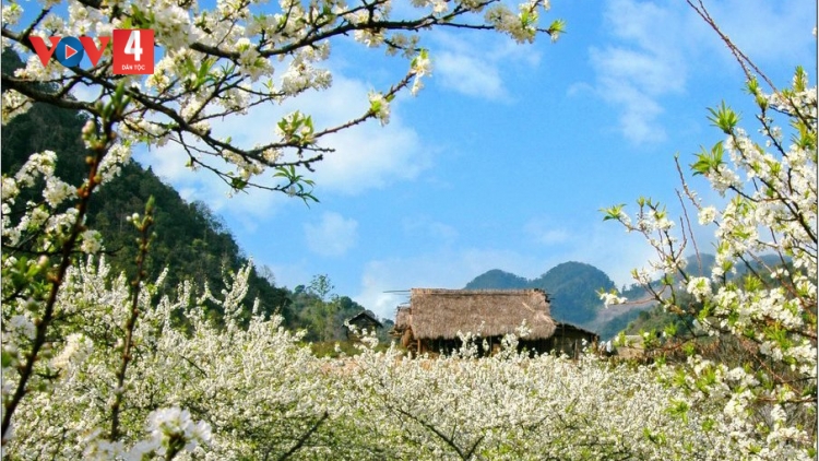 PỈ NOỌNG TỈNH ĐÀI XÁU CHƯƠNG TRÌNH (Chủ nhật, vằn 14 bươn 12 pi 2025)