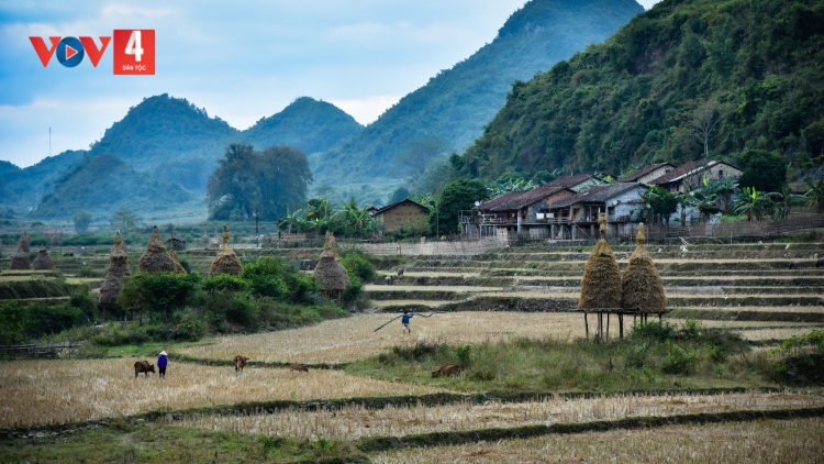 TÀNG ĐIỆN MẤƯ