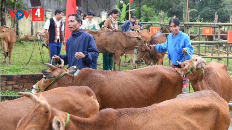 QUÂN KHU 5 CHER ĐOỌNG 200 P’NONG K’ROOC M’MA R’RƯAH ZOOI ĐOỌNG PR’ĂT TR’MUNG HA ĐHANUÔR CHR’VAL DA DING K’COONG NAM GIANG