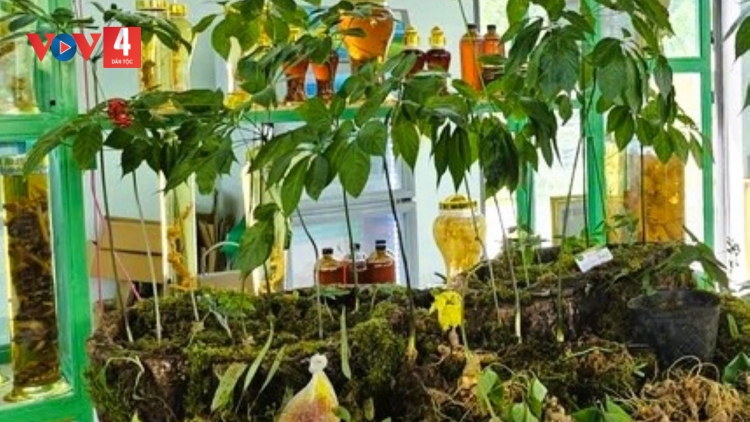 ĐÀ NẴNG PA DƯR RAU CHR’NĂP ÂNG ZƠ NƯƠU