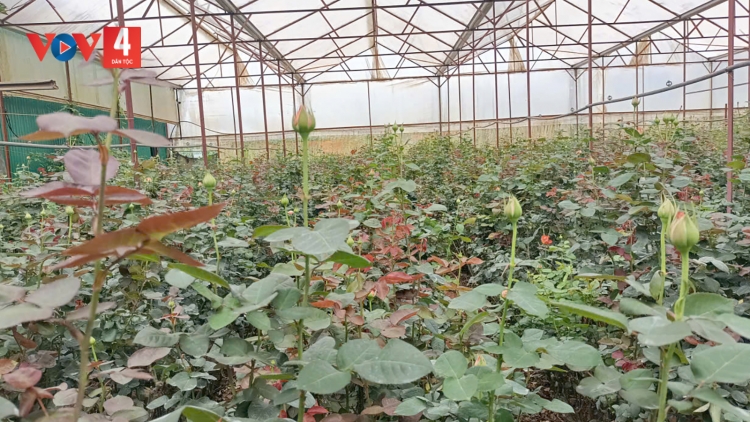 LANG BIANG: CHOH TƠỢ ABHOO, HA ROO PA TƯỚC PÔ HỒNG