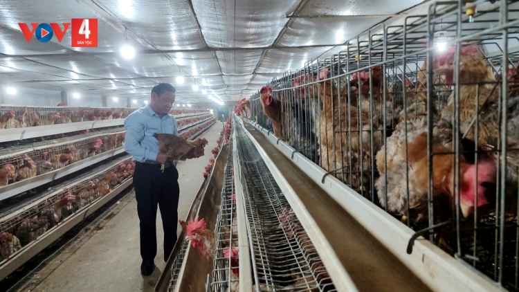 QUẢNG NINH: TẢY NẢI MÌ 9 BÚNG KHUN LIỆNG PAO AN ỎN MỪA PỈNH LẢ CHANG PI 2025