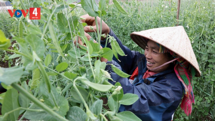 K’RONG 3 XA NAY BH’RỢ CR’NOỌ CR’NIÊNG ÂNG K’TIÊC K’RUUNG, T’BHLÂNG T’ĐUI ĐOỌNG HA ZR’LỤ ĐHARỰT PA BHLÂNG ÂNG K’TIÊC K’RUUNG