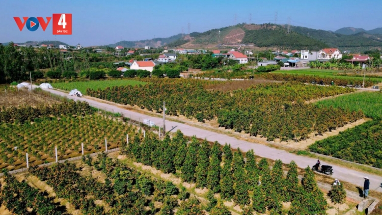 Quảng Ninh tẳng có bản cỏn mấư đây, kheo slâư vạ hâng rì tứ pi 2026 - 2030