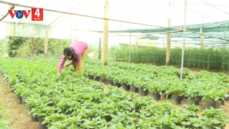 ĐHA NUÔR DA DING CA COONG A LƯỚI TRƠVÂNG RA VĂNG PÔ HA TẾT