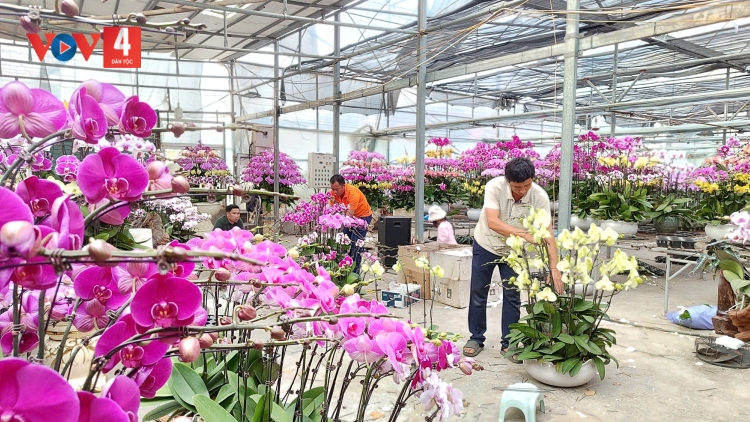 ĐỒNG CHÈ (QUẢNG NINH) CHƯỚNG BJOÓC KHAI SLÌ NÈN