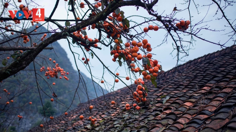 PR’HÁT XA NUL: “BÁC HỒ - MỘT TÌNH YÊU BAO LA”