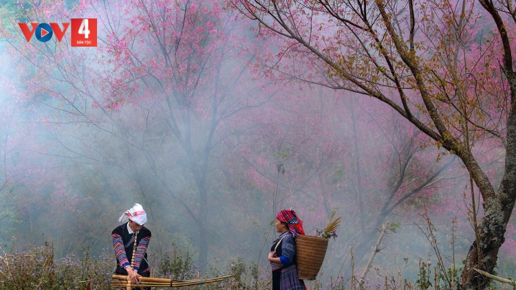 PR'HAT HƠNH DEH ĐẢNG